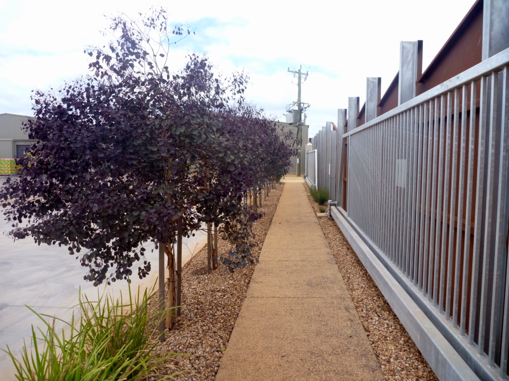 BotanicalTraditions_Landscape design_Commercial